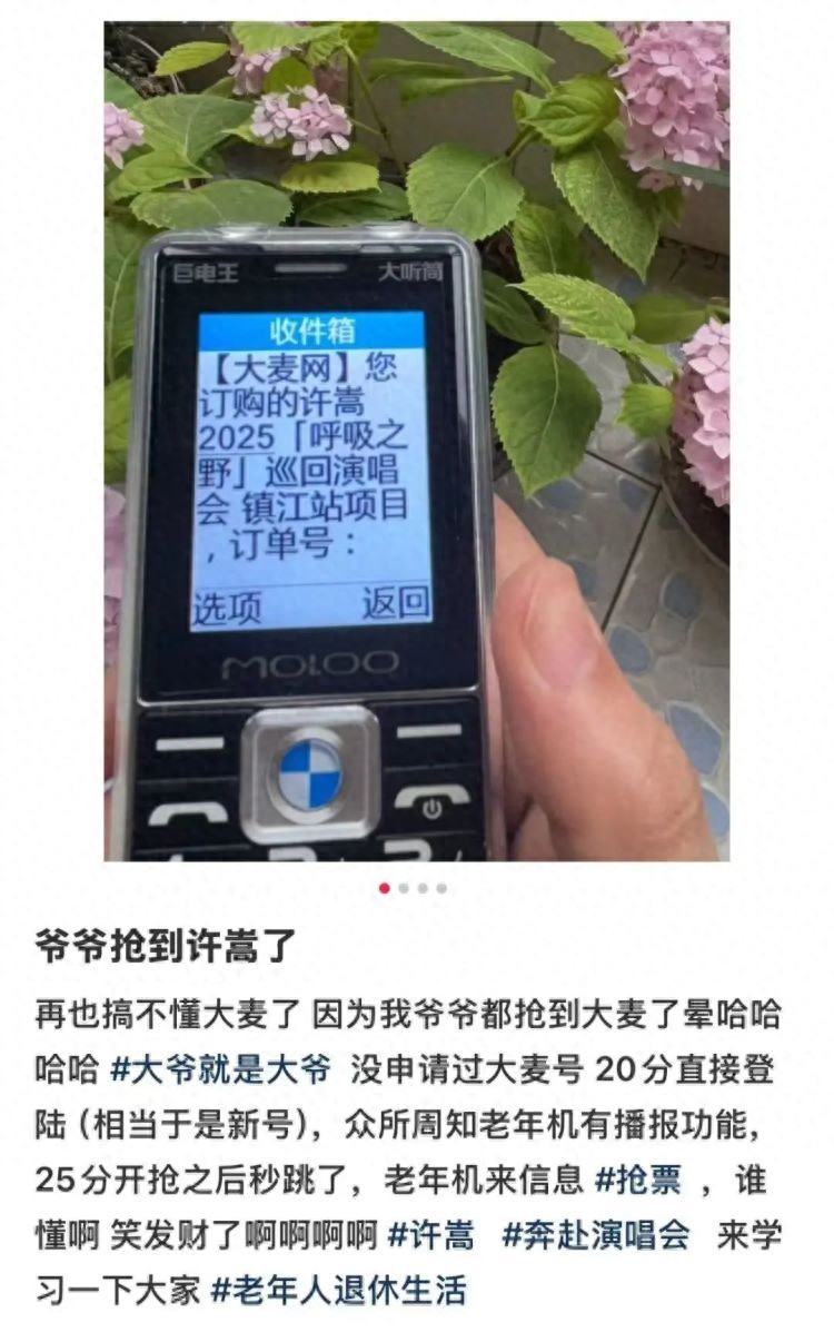 大麦app怎么开抢票提醒