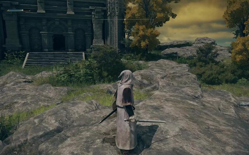 艾尔登法环职业