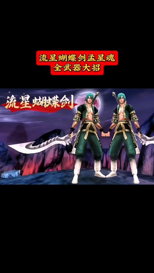 流星蝴蝶剑出招表