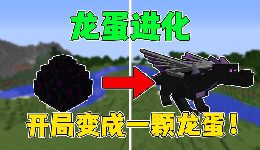 末影龙蛋怎么孵化