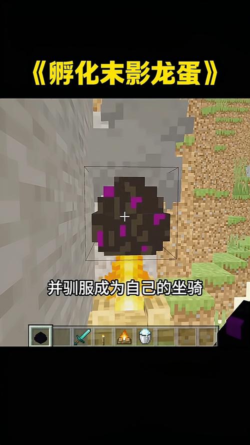 末影龙蛋怎么孵化