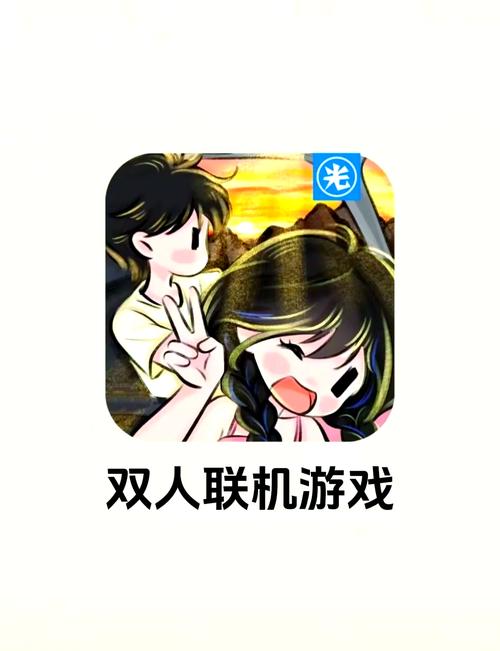 单机双人游戏