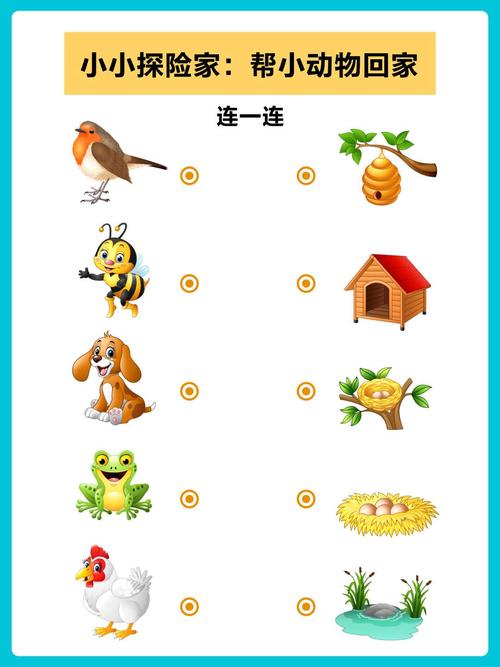 动物连连看