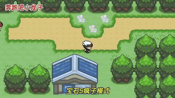 口袋妖怪黑2