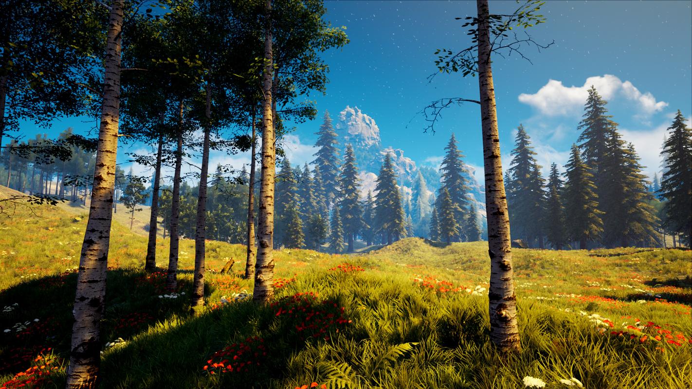the forest
