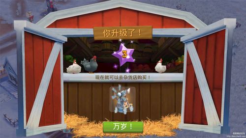 开心农场