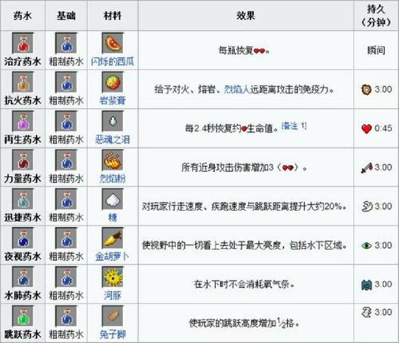 我的世界夜视
