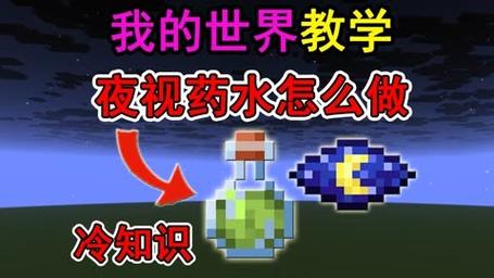 我的世界夜视