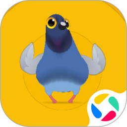 疯狂的鸽子腾讯版