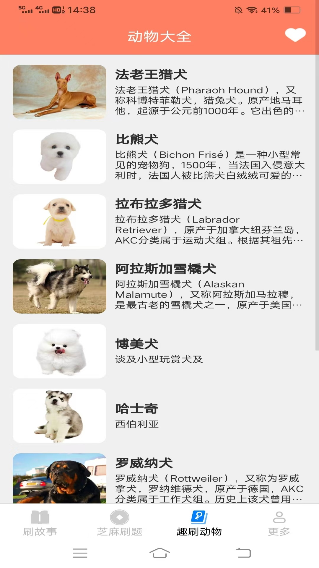 福运喜刷游戏截图