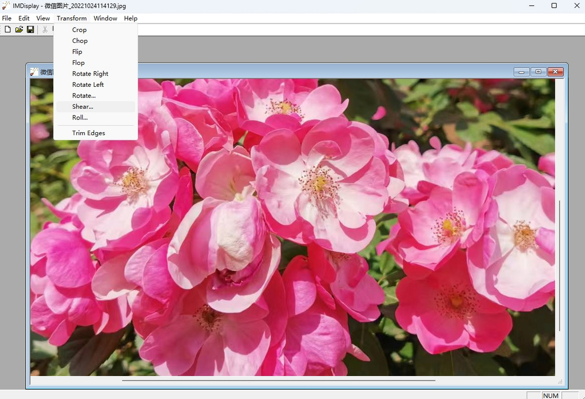 ImageMagick电脑版下载介绍图