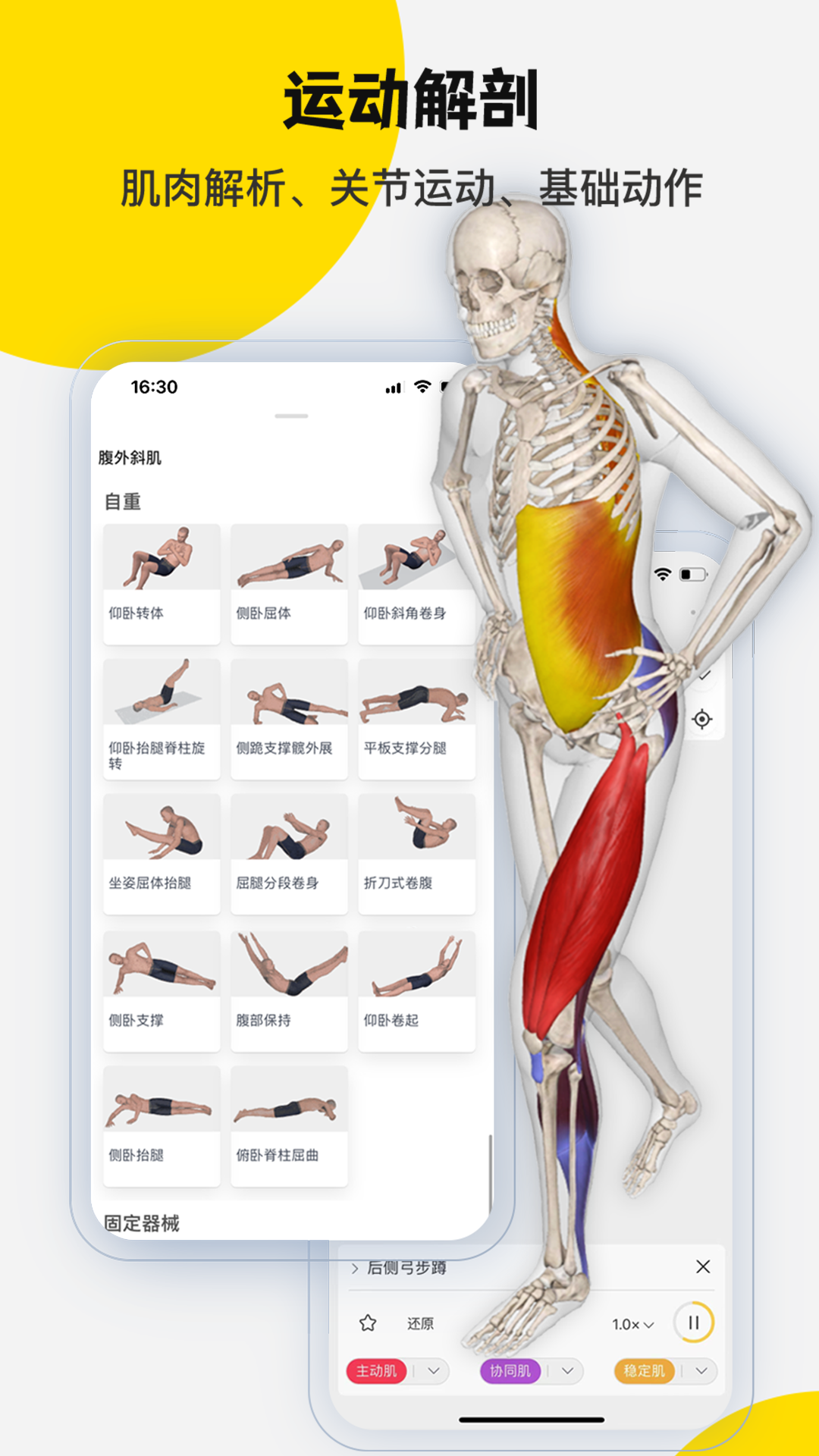 3Dbody解剖app截图