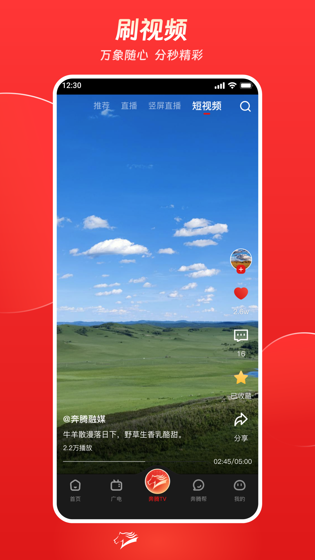 奔腾融媒app截图