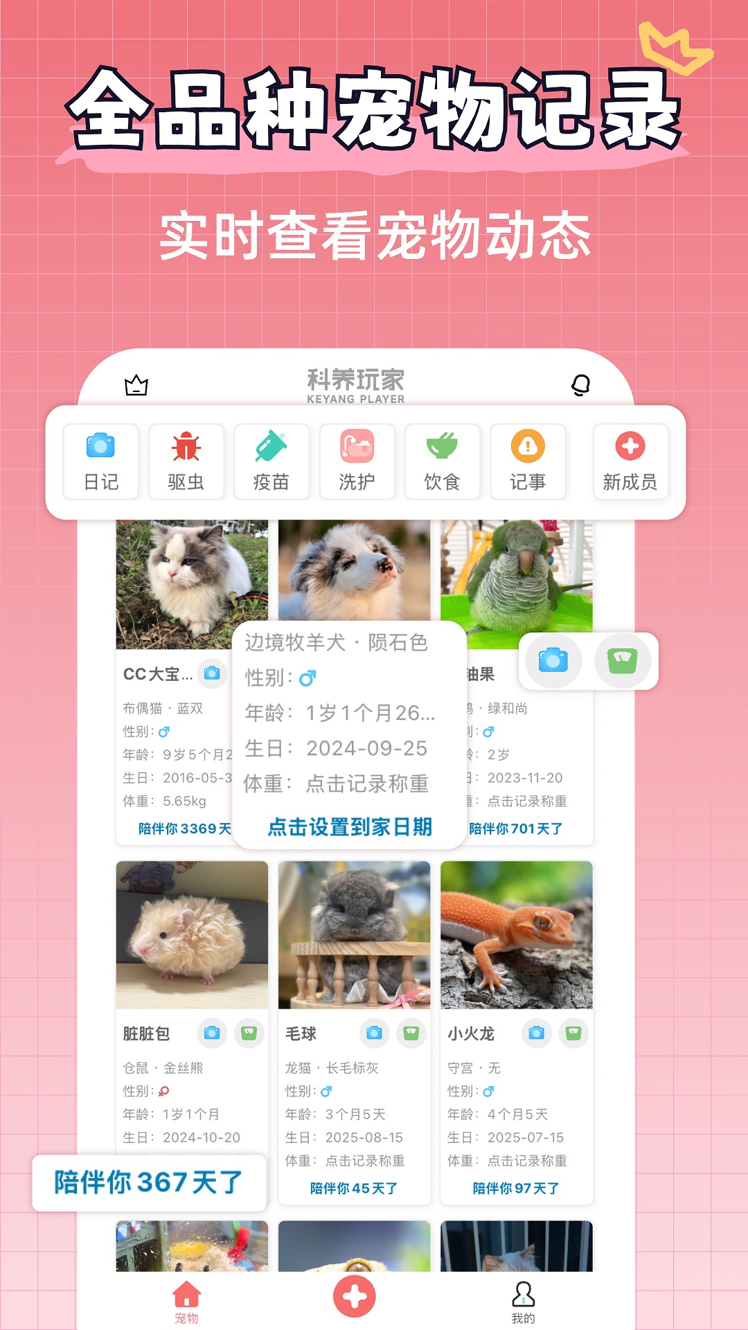 宠物王国app截图