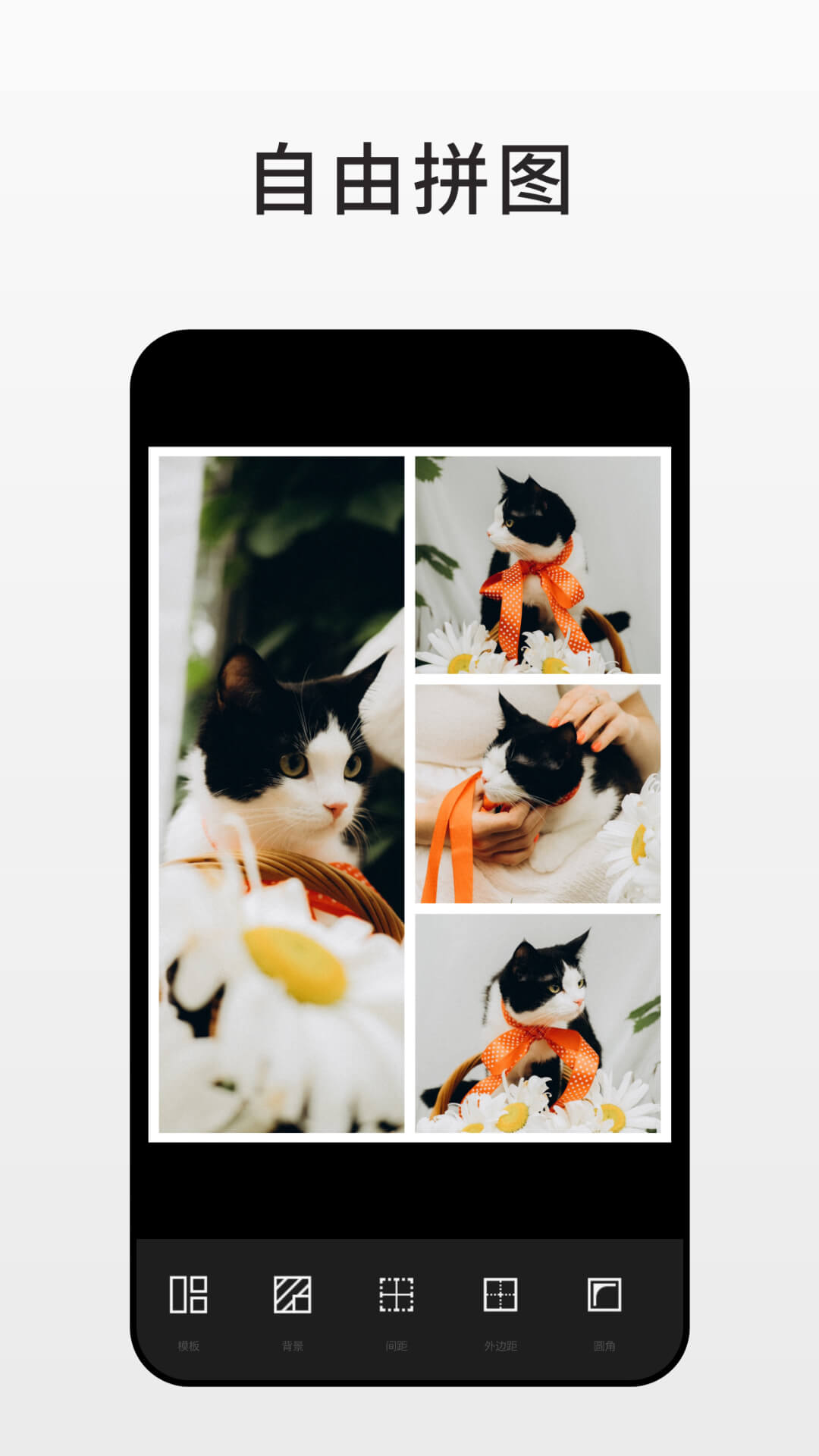 Fotorapp截图