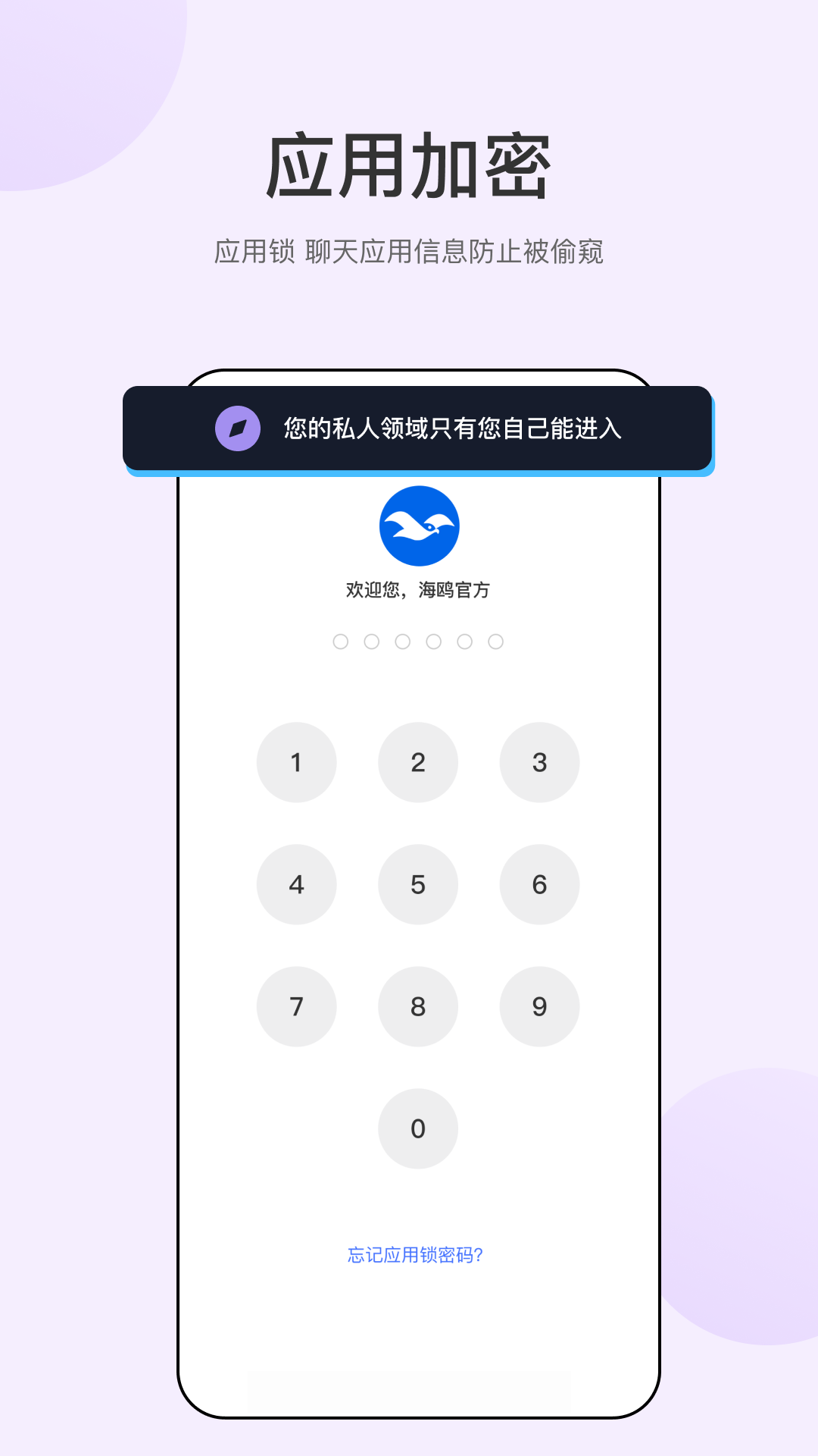 海鸥下载介绍图