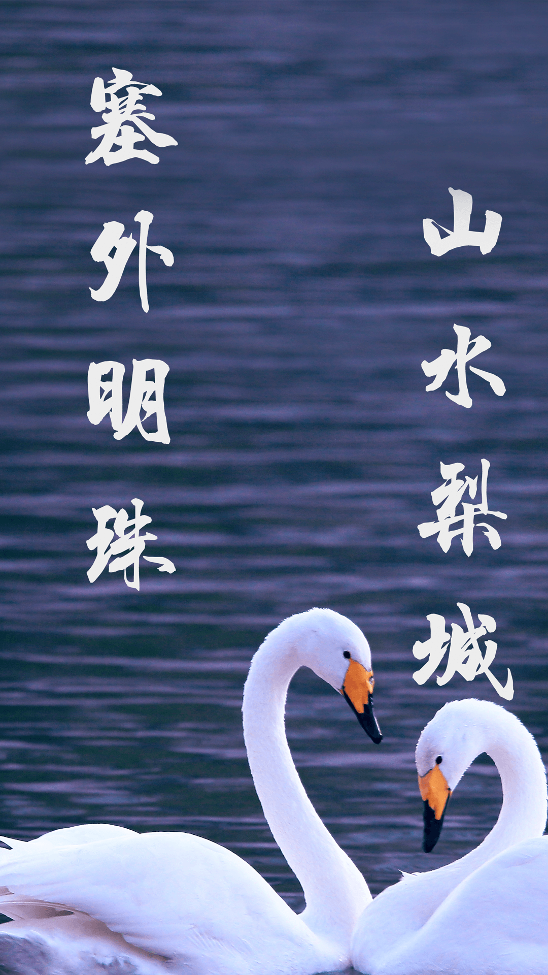 库尔勒好地方app截图