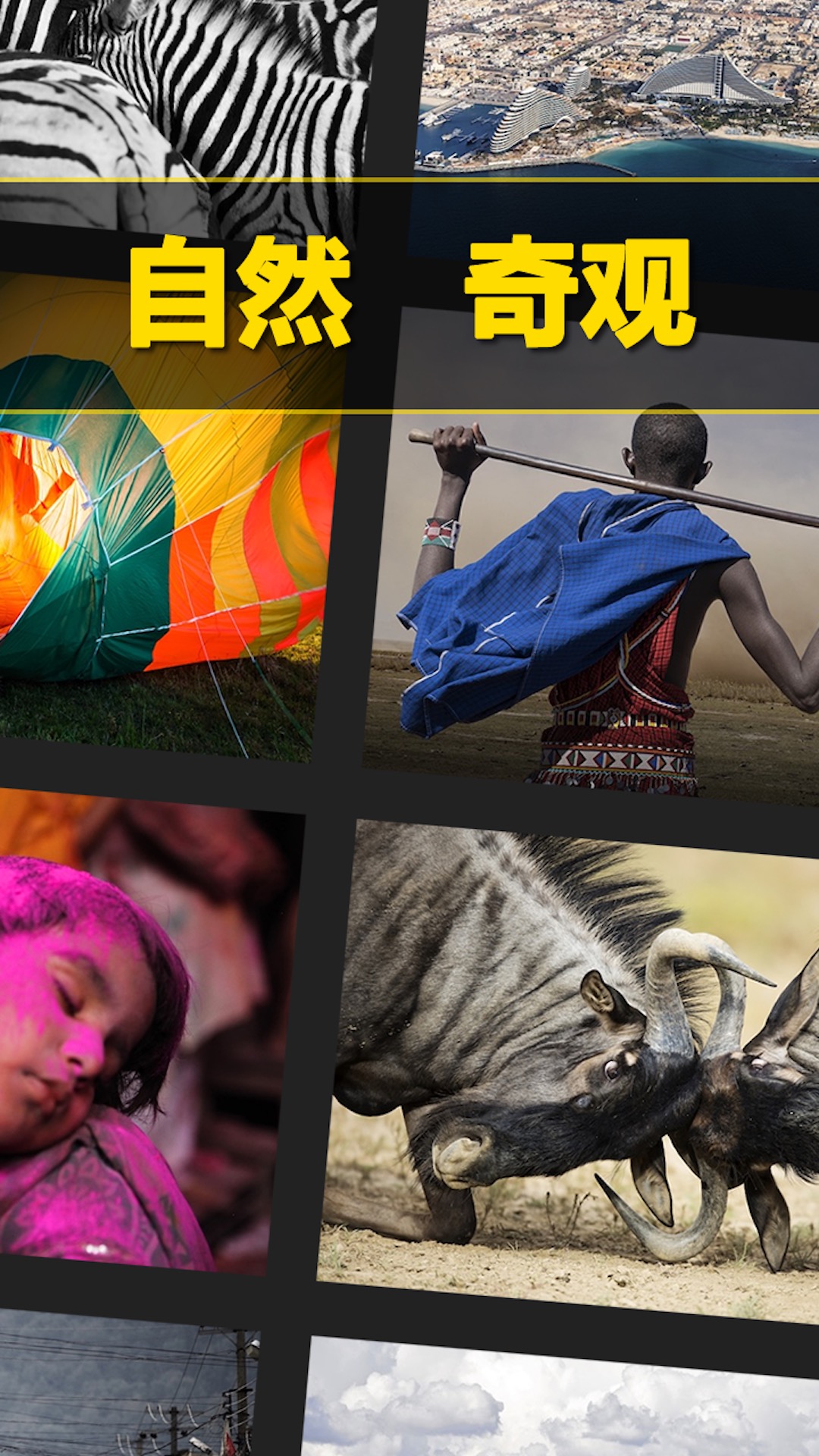 每日精选app截图