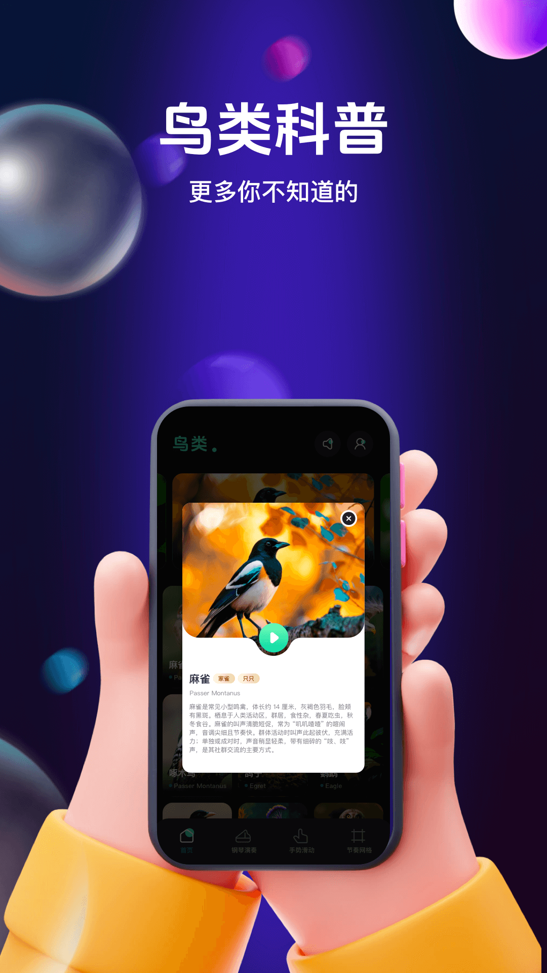 鸟儿摇鸣曲下载介绍图