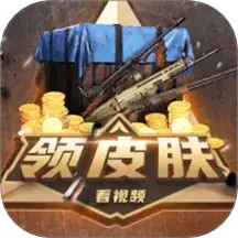 皮肤快送