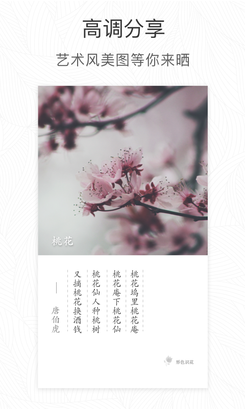 形色app截图