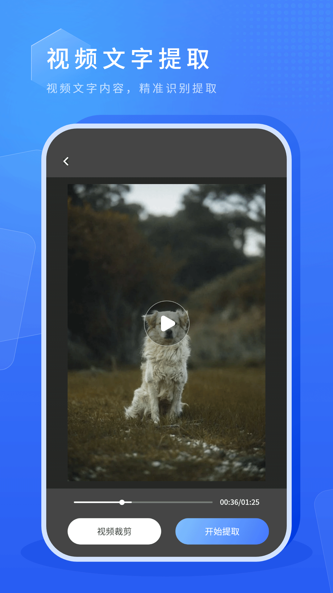 虚拟摄像头app截图