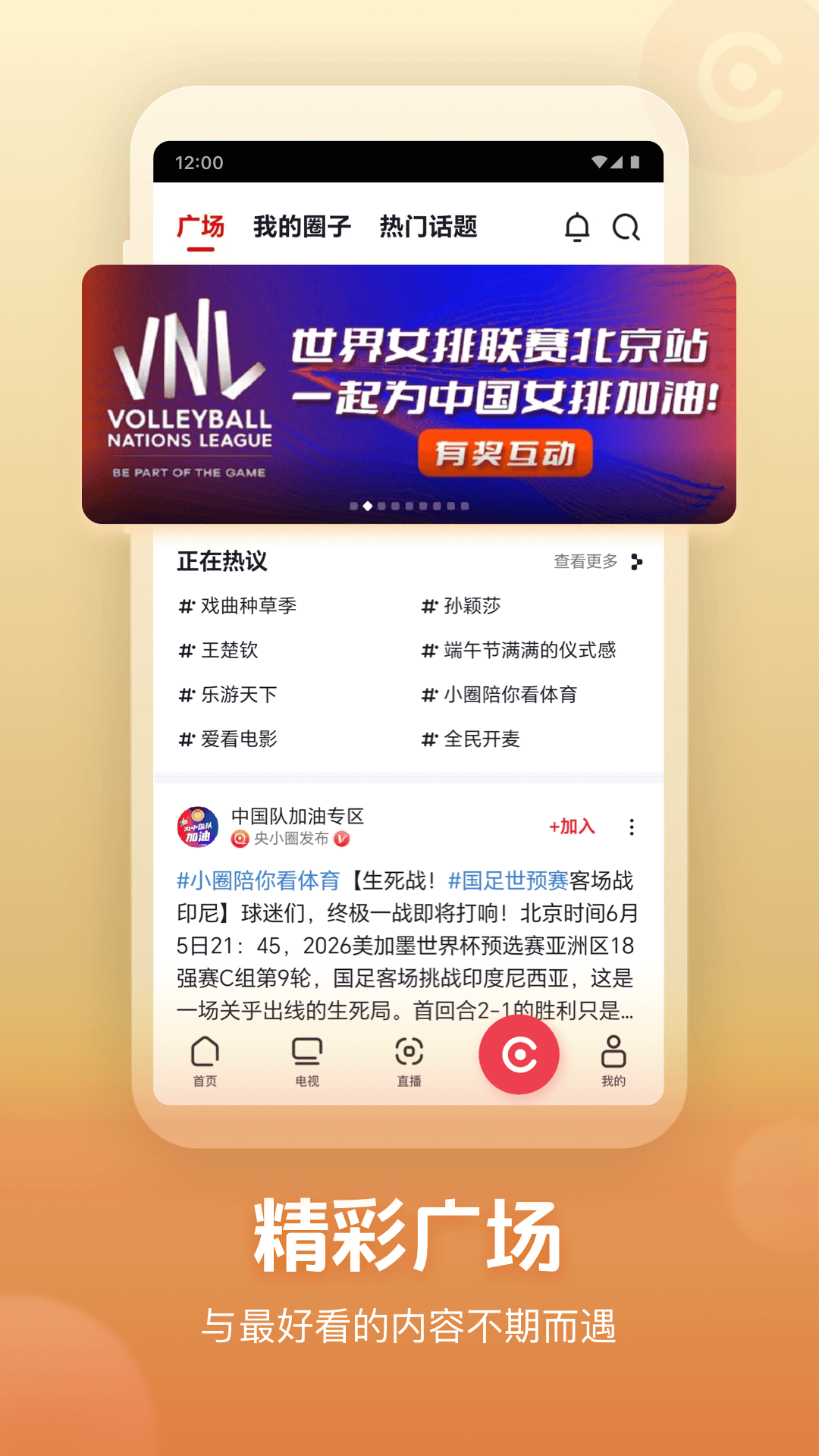央视频下载介绍图