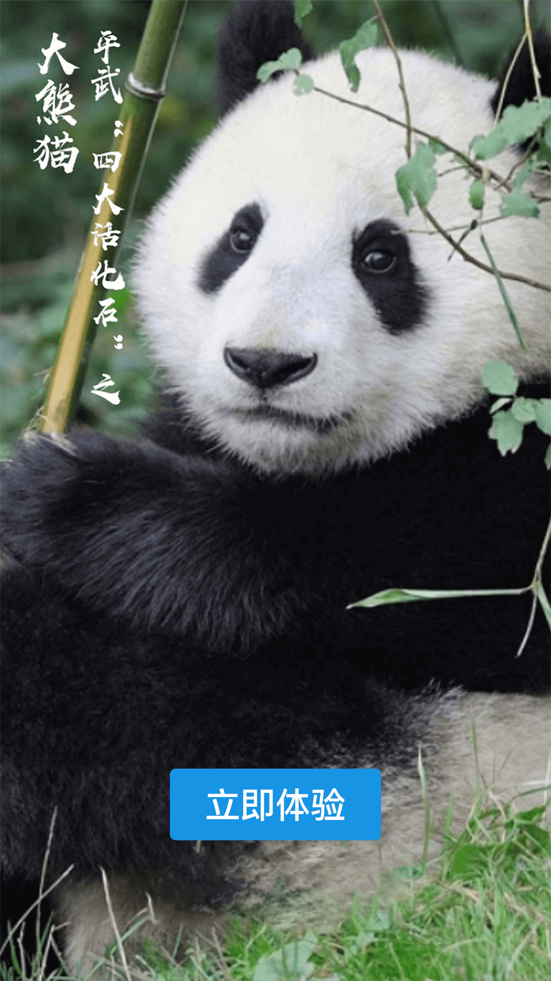 直播平武下载介绍图