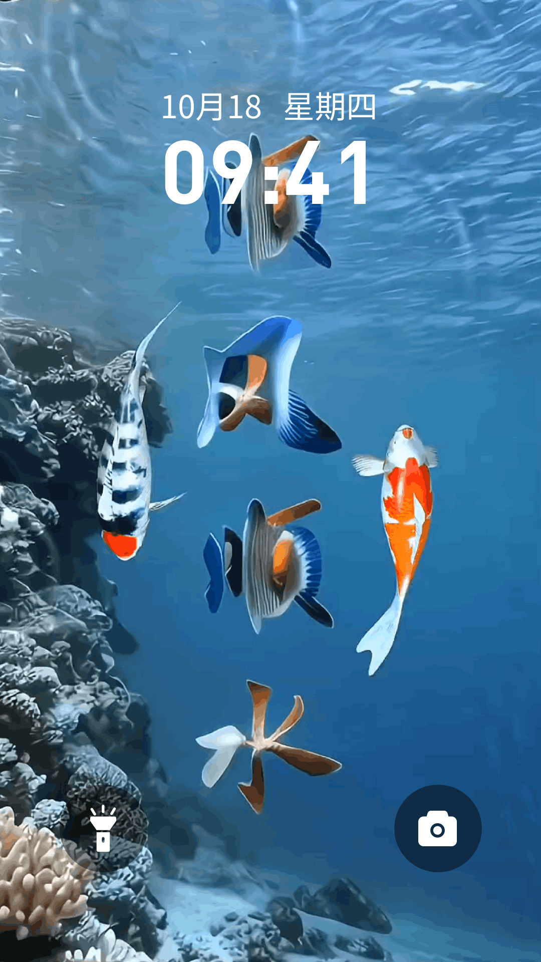 桌面养鱼壁纸下载介绍图